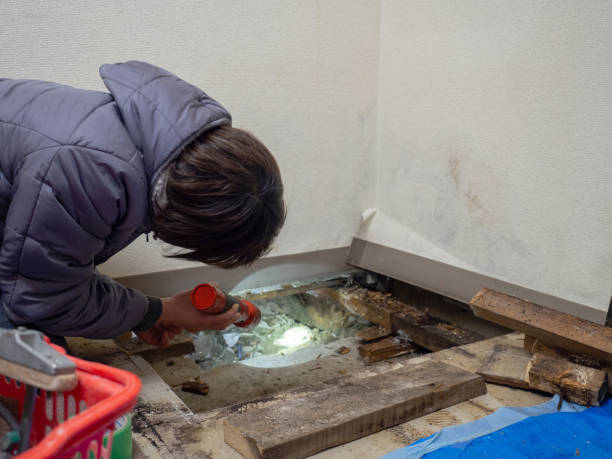 Best Asbestos and Lead Testing During Mold Inspection  in Fruitridge Pocket, CA